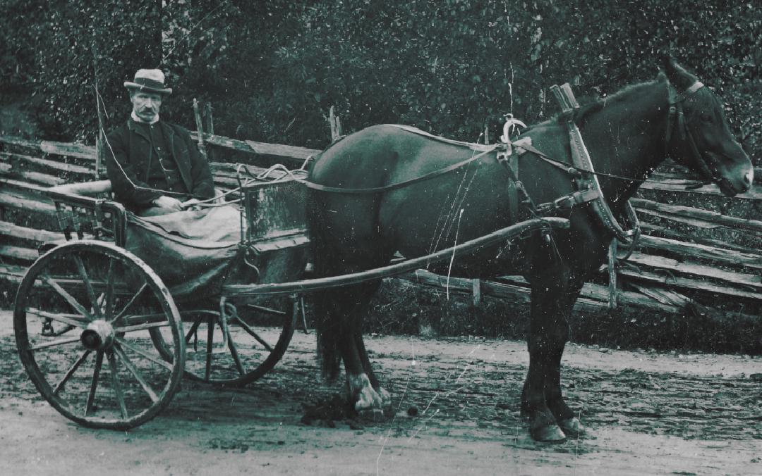 Gammal bild på Hans Gustav Borg sittande i hästvagn